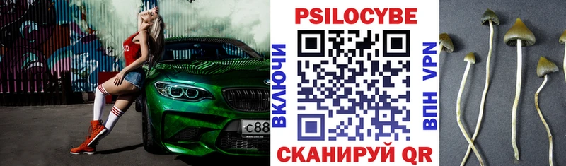 дарк нет как зайти  Киреевск  Псилоцибиновые грибы ЛСД 
