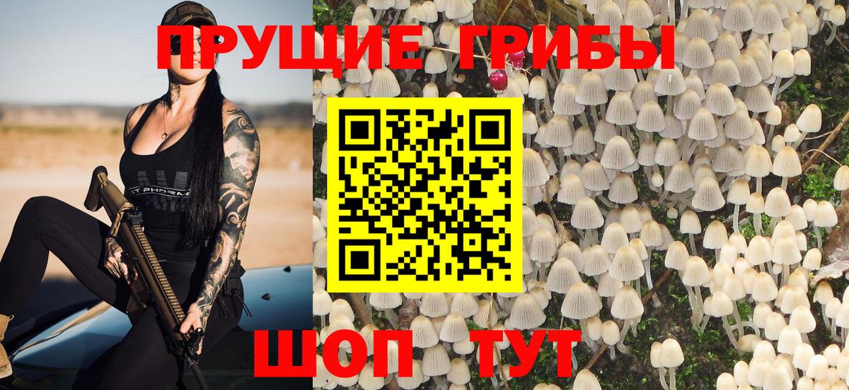 Галлюциногенные грибы Psilocybe Киреевск