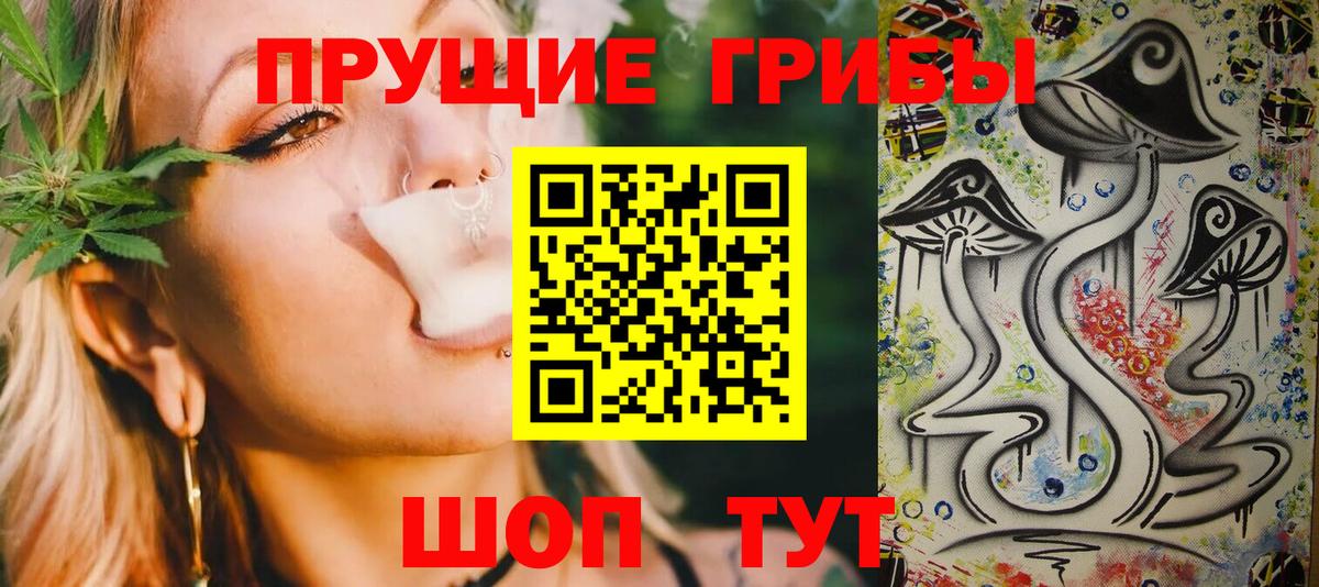 Псилоцибиновые грибы MAGIC MUSHROOMS  закладки  Вход с VPN  Киреевск  Псилоцибиновые грибы GOLDEN TEACHER 